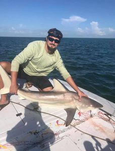 Fishing for Blacktip Shark in Seminole, FL